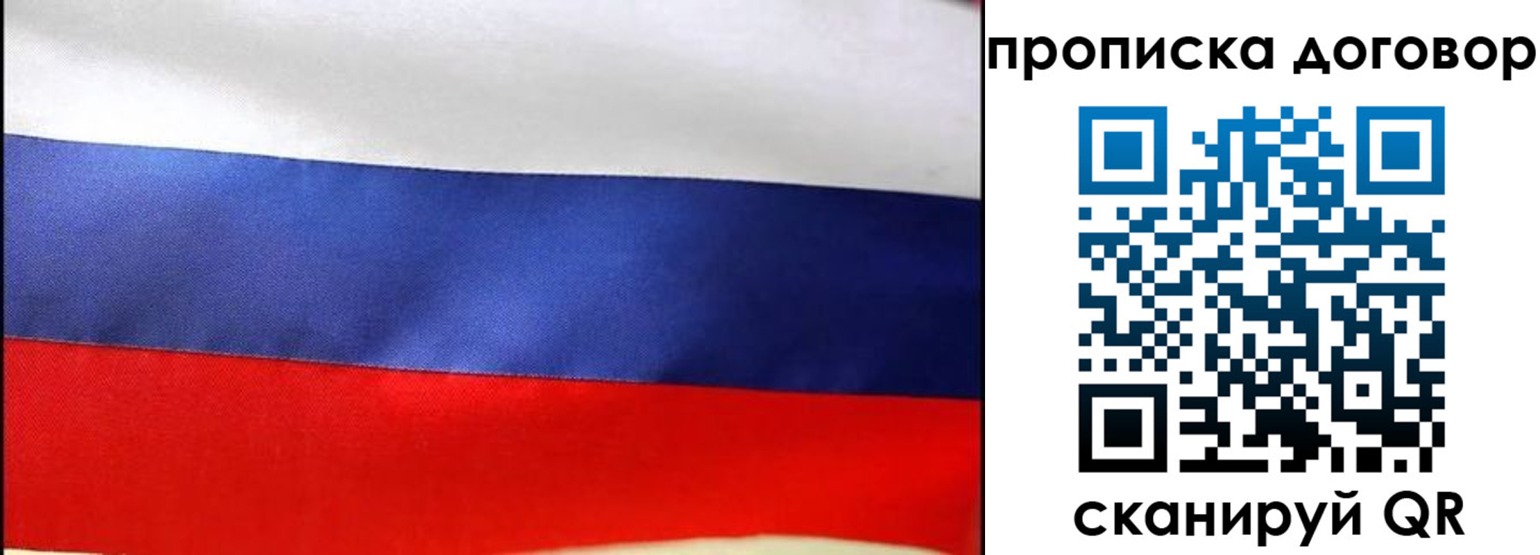 прописка гарантия в Донском